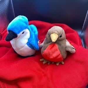 Ty BB Rocket the bluejay and Early the Robbin